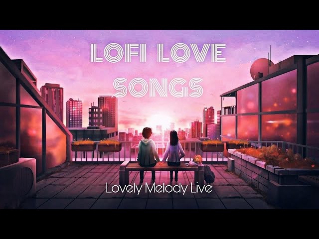 Non Stop Lofi Mashup | Heart Touching Hindi Songs | Lovely Meldoy Live