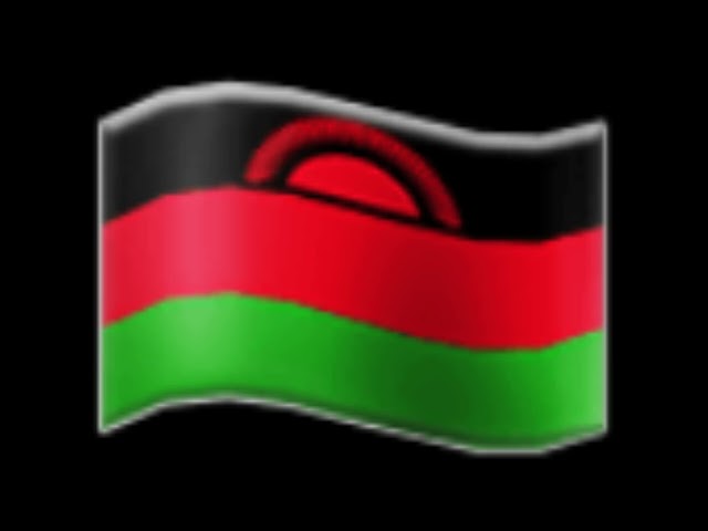 Malawi EAS alarm (2014,ALT) (I quit YouTube because YouTube gives me《out of update》message,goodbye.)