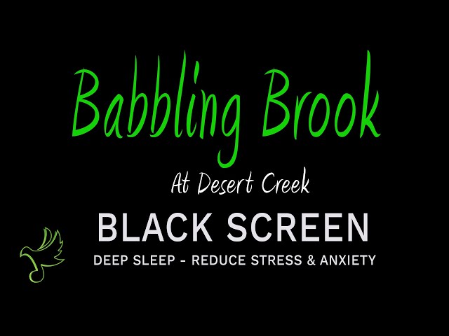 Is a Babbling Brook the SECRET to a Calm Mind? I Found Out here!