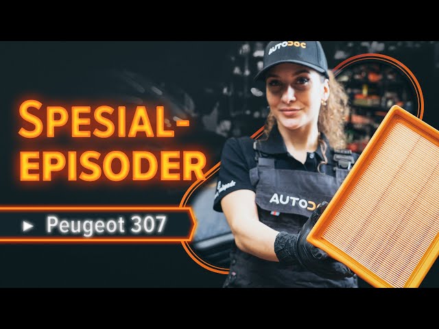 Hvordan bytte luftfilter der på PEUGEOT 307 SW [AUTODOC-VIDEOLEKSJONER]