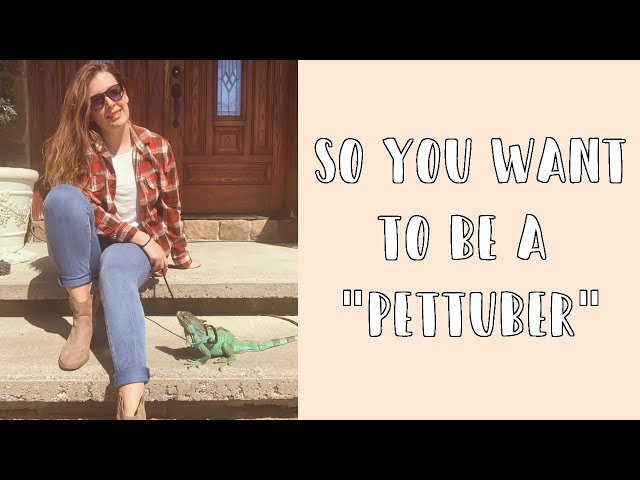 So You Want to be a "Pettuber" // Tips for Social Media Success