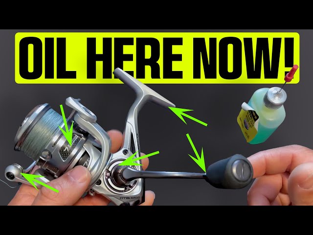 The 5 Most Important Spots to Oil on Your Reel (Most Anglers Miss These!)