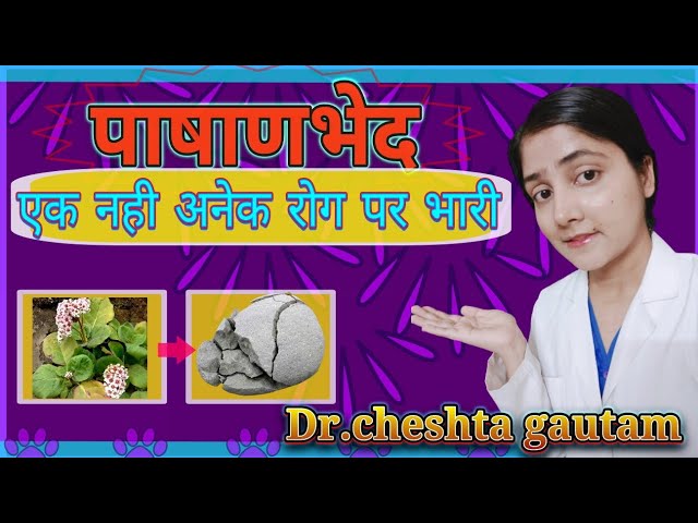 uses of PASHANBHED (PATTHARCHUR) by dr.cheshta gautam