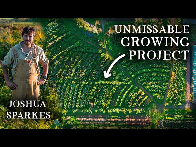 A Mind-Blowing Vegetable Garden | Joshua Sparkes’ Edible Polyculture Paradise