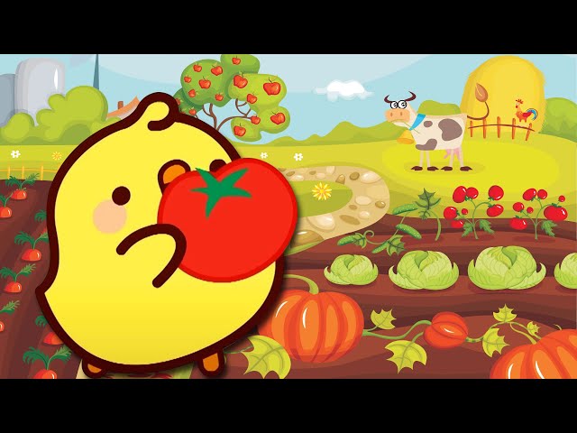 Molang | The Vegetable Garden 🍅🥕 | Cartoons For Kids | Cartoon Crush