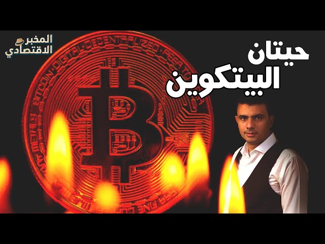 هل يصل سعر البيتكوين إلى 100 ألف دولار قريبا؟ ومن هم حيتان العملة الافتراضية؟