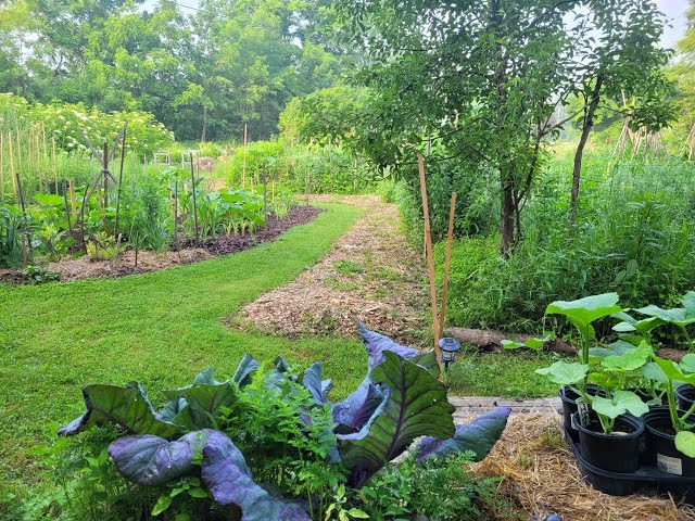 Permaculture and Nature-Guided Design: Q & A