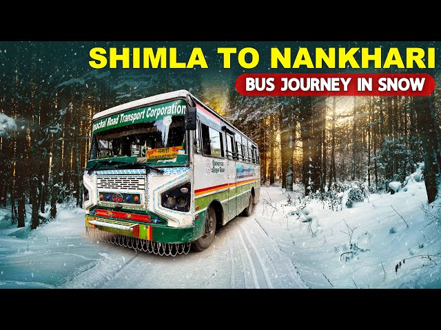 SHIMLA TO NANKHARI - Snowy Bus Ride to Himachal's Apple Valley | Himbus