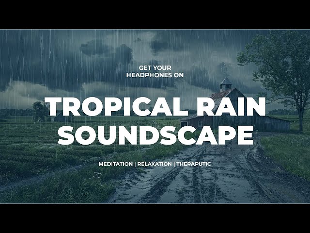 Heavy Rain Sounds from the Tropicals