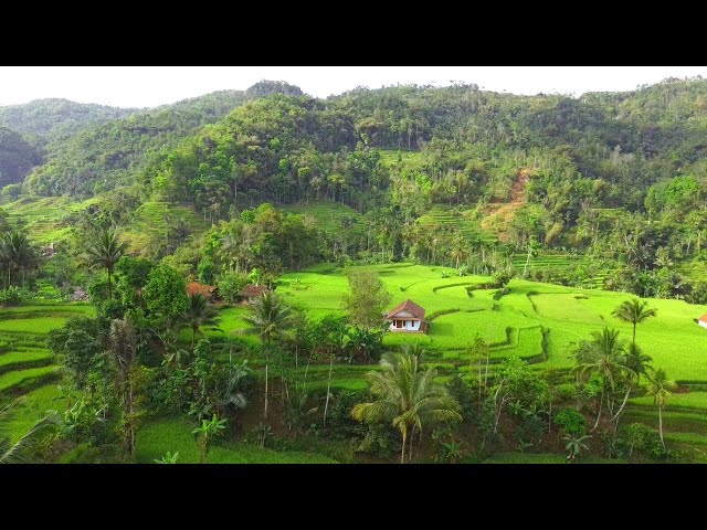 Petualangan Alam Desaku,Lukisan Hidup Dari Sang Pencipta kampung Surganya Air, Pedesaan Jawa Barat