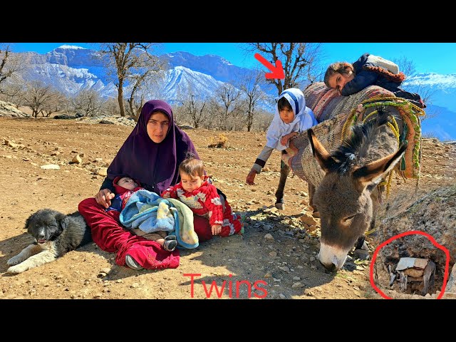 🌧️🏔️ Nargis and the twins: heroism in hardship, rescuing a donkey from the rain under a rock! ❄️🐴❤️