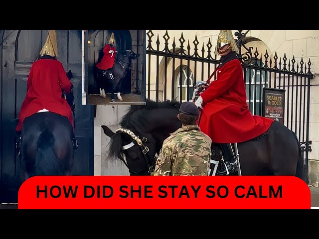 HOW DID SHE STAY SO CALM- KING’S GUARD HORSE SCARY MOMENTS