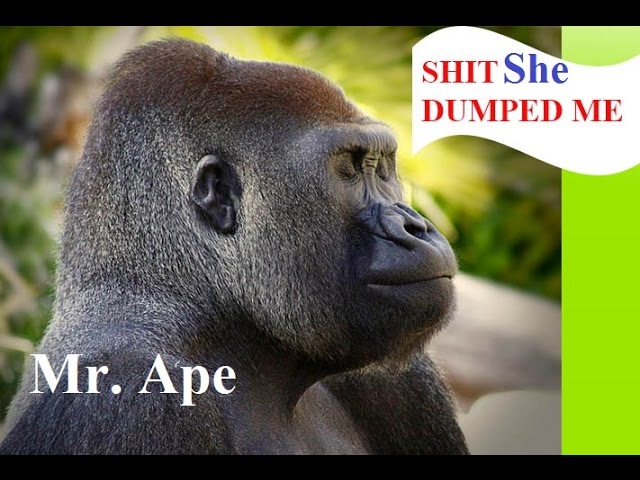 Mr. Ape - Entered Into Indhira Park - Funny Short Film