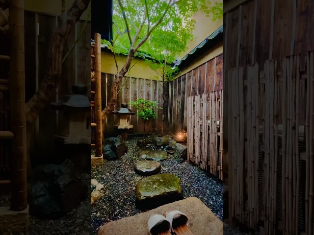 🇯🇵 A rainy day view from our traditional Japanese garden #japanesegarden #gardenscapes #japan