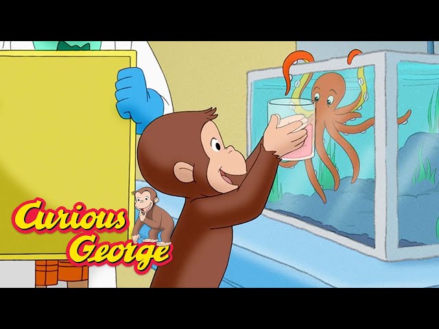 Curious George 🐵 George visits a marine rehabilitation lab 🐙 🐠 🐡 Kids Cartoon 🐵 Kids Movies