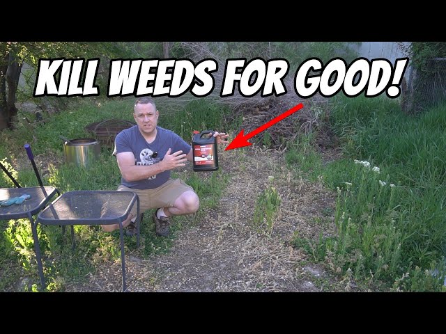 This weed killer completely kills weeds for good!