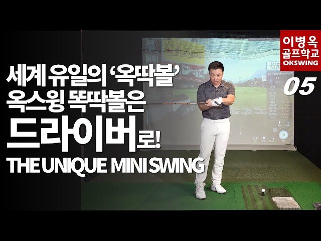 (19-4-5) The Unique MIni Swing