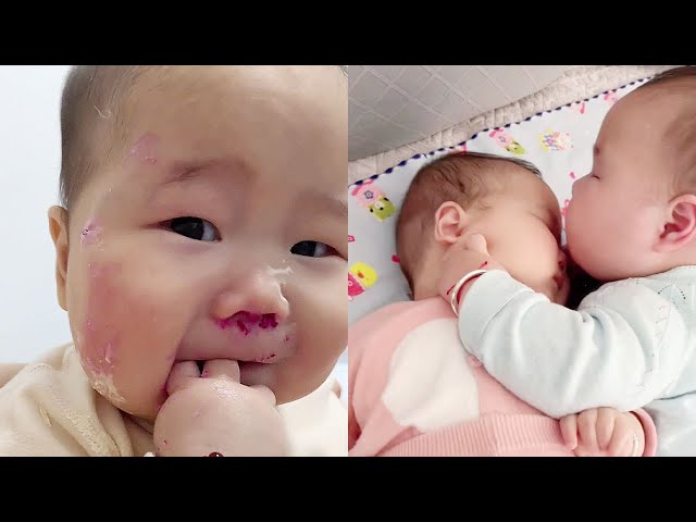 【超萌双胞胎】妈呀，火龙果蛋糕太好吃了！【西西和柚柚呀】#cutebaby #funny #萌娃 #搞笑