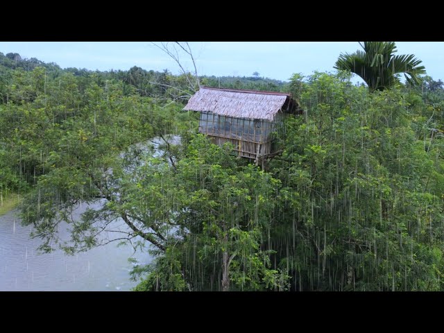 Heavy Rain Camping - Camping in a Cozy Old Tree House Shelter