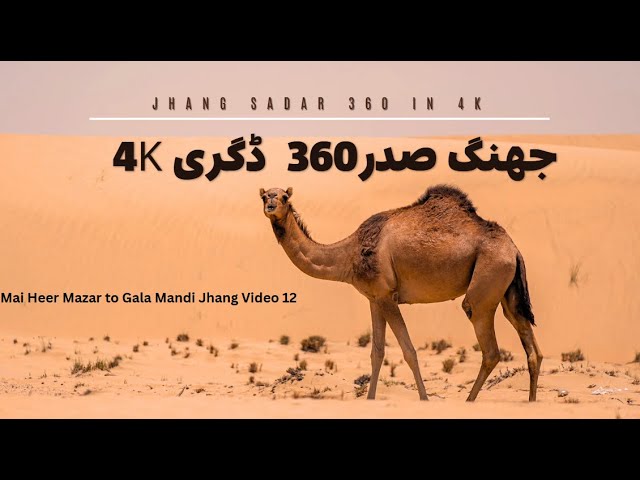 Mai Heer Mazar to Gala Mandi Jhang |360degree 4K|  Jul 2024