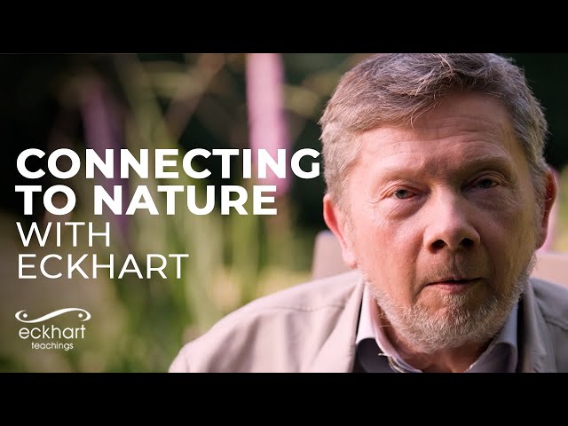 Connecting with Nature | A Doorways into Presence miniseries, Part 3