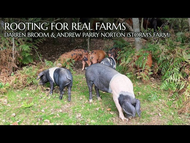 Rooting for Real Farms: Darren Broom & Andrew Parry Norton (Storm's Farm)