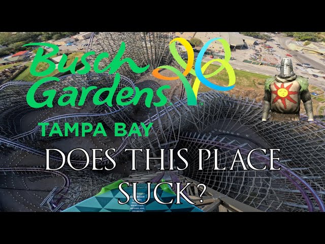 My Day at Busch Gardens Tampa Bay