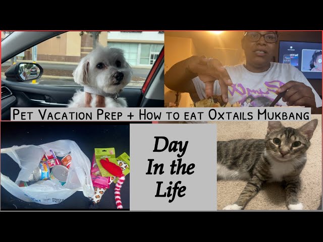 Day in the Life | Pet Vacation Prep + How to eat Oxtails Mukbang | Over 40 | Dionne’s Life