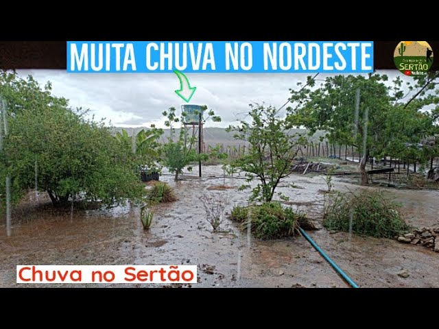 Caindo muita água no Nordeste! Chuvas consideráveis no Sertão v147