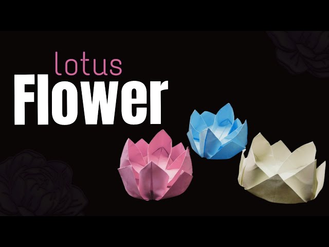 origami | How to made easy lotus flower in 5? |2023