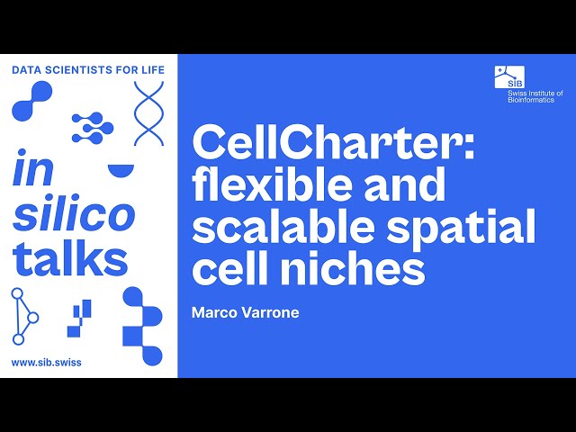 CellCharter: flexible and scalable spatial cell niches