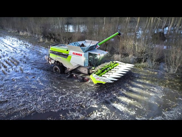 MAIZE HARVEST in extreme wet soil conditions | Claas Lexion 8600TT | France | 2023