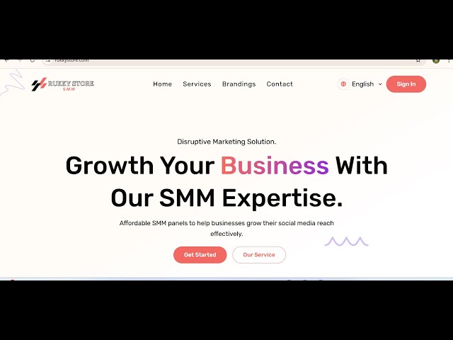 Rukkystore Review: Affordable SMM Services for Social Media Growth free review