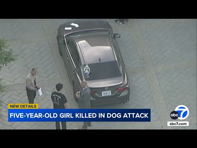 Neighbors react with shock, horror after 5-year-old girl fatally mauled by dogs at Covina area home