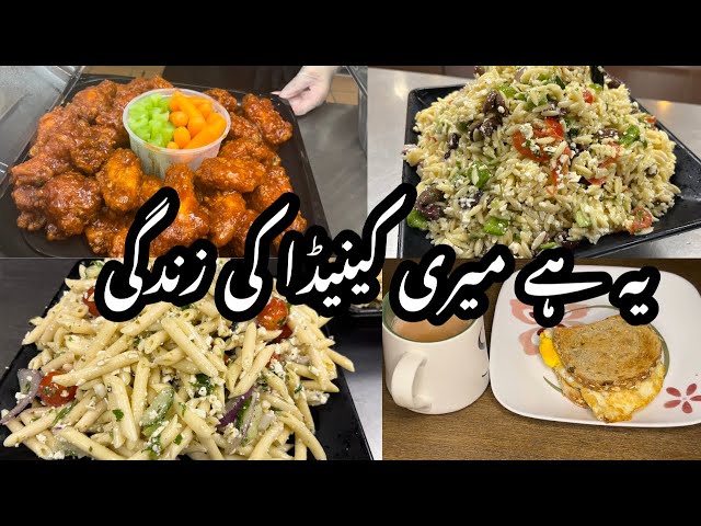 5 Am Morning Routine With 4 Kids | Pakistani Mom Early Morning Job Routine In Canada | Salad Recipe