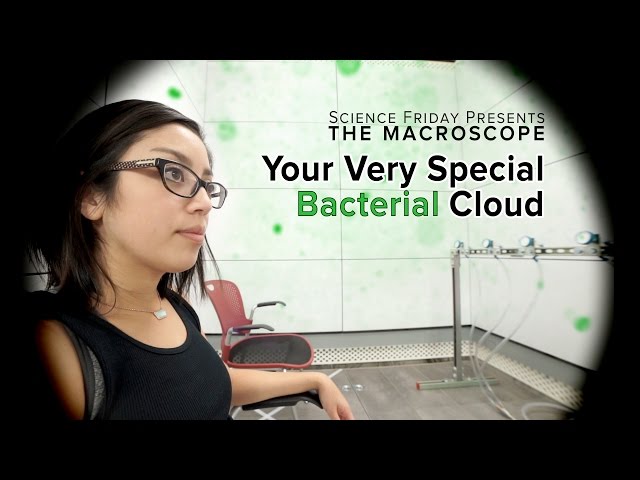 Your Very Special Bacterial Cloud