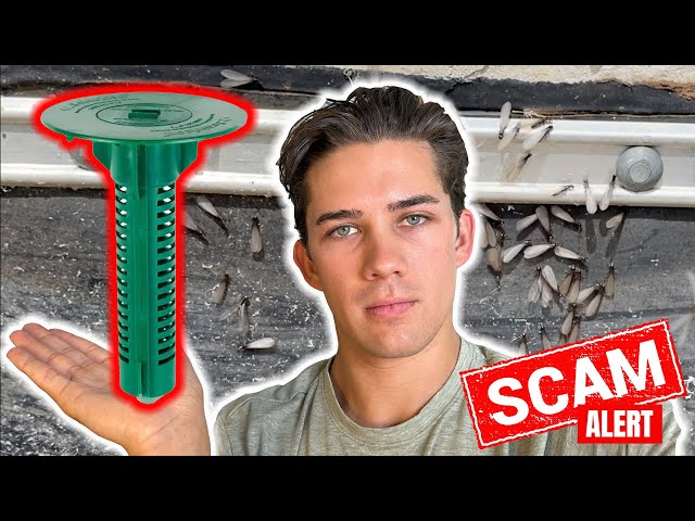 The Biggest SCAM in Pest Control - Termite Bait Stations