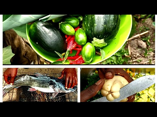 How we Smoke & Cook Catfish with Ugali,Ugandan Fufu,Rice,Peas & Garden Greens|ASMR|Bird Sounds#viral