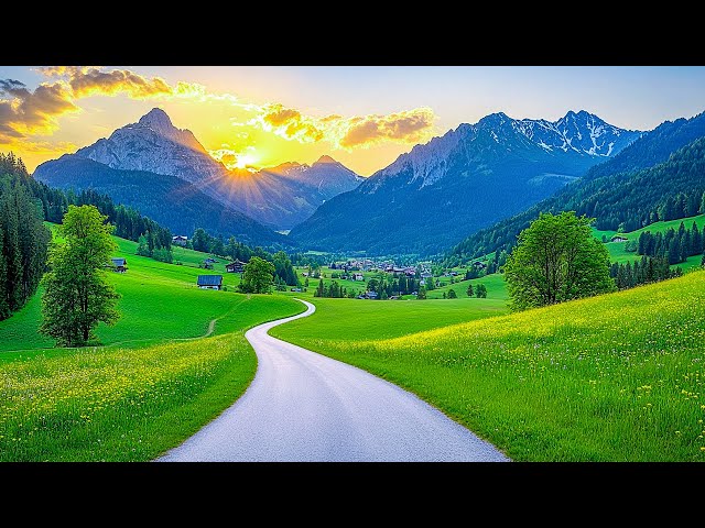 Beautiful Relaxing Music to Reduce Stress - Meditation Music, Sleep Music, Healing Music #12