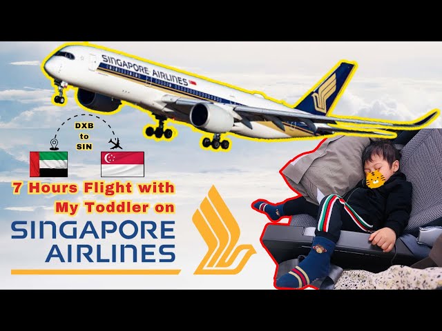 Singapore Airlines Economy Class from Dubai - Baby Bassinet | Airbus A350-900