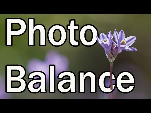 Does your photo have balance?