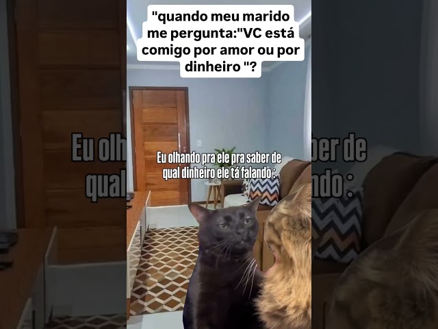 Que dinheiro?😂Curta a página🔥 #memes #bichosincero #humormemes #bichosengracados #pets #bichoesperto