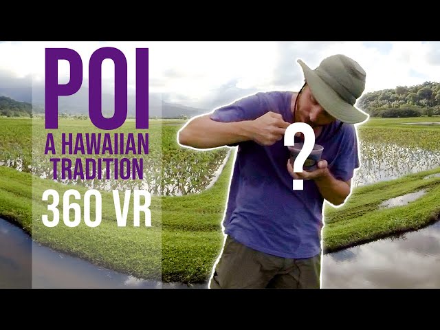 Hawaii VR: POI: A Traditional Hawaiian Food! 360 VR (pre-lockdown)