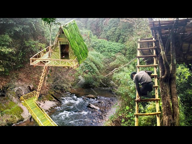 Completion of 240h construction of shelter on 10m high tree, evening outdoor cooking and sleeping