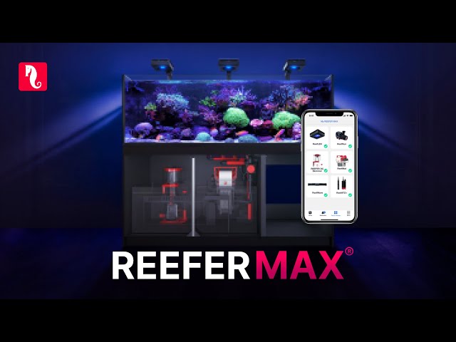 It's the REEFER MAX!