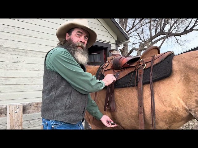 Saddling Horses Part 2 - Cinches, Back Cinches and Breast Collars