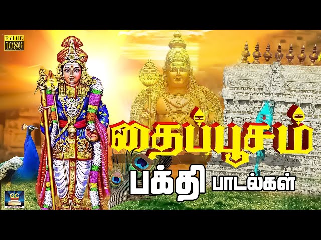 தைப்பூசம் முருகன் பக்தி பாடல்கள் | THAIPUSAM MURUGAN SONGS | ARUPADAIVEEDU | Murugan Bakthi Padalgal