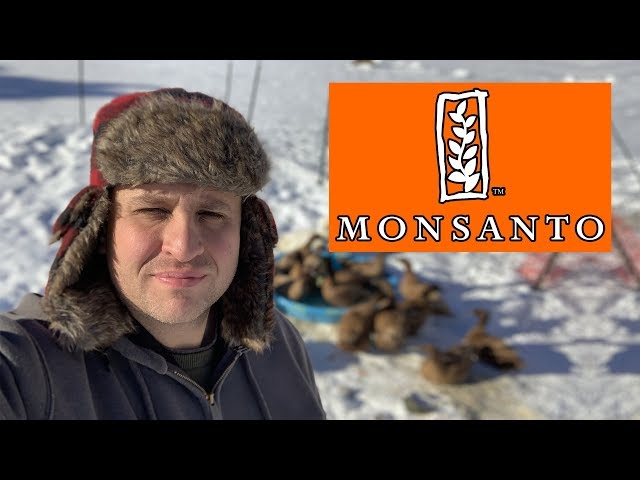 Small Farmer on Sneaky Monsanto and Modern Ag