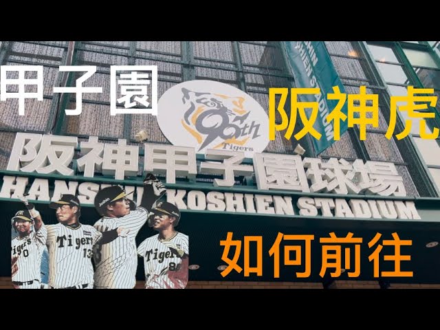 甲子園球場，除了是日本職棒中央聯盟阪神虎的主場外，更是有百年歷史的日本高校野球全國大賽的場地。大谷翔平、山本由伸等超級球星，曾在高校時期在此發光發熱過。