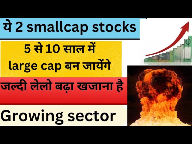 ये 2 smallcap stocks 5 से 10 साल में large cap बन जायेगी | जल्दी लेलो बड़ा खजाना है | growing sector